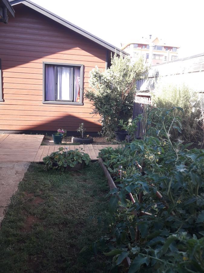 Cabanas Mister Nelson Valdivia Ngoại thất bức ảnh